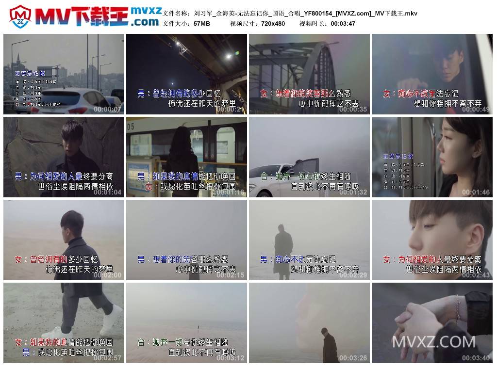 刘习军_余海英-无法忘记你_国语_合唱_YF800154